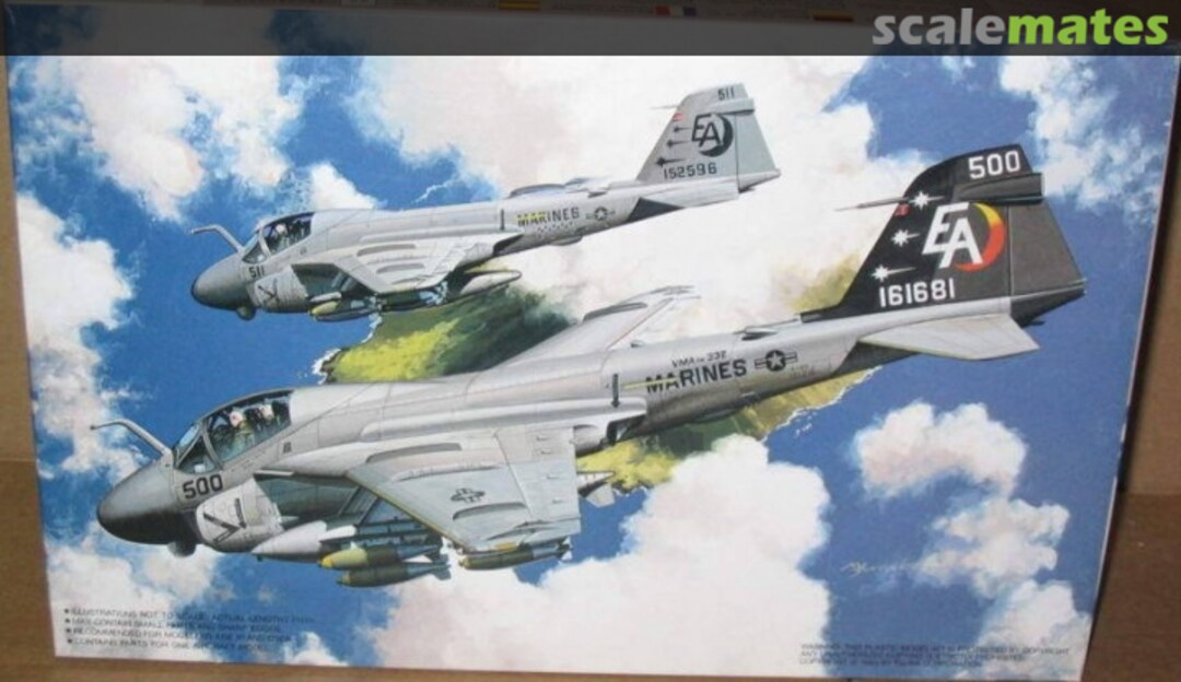 Boxart A-6E Intruder "Last Intruder" 35136 Fujimi Boxart A-6E Intruder "Last Intruder" 35136 Fujimi