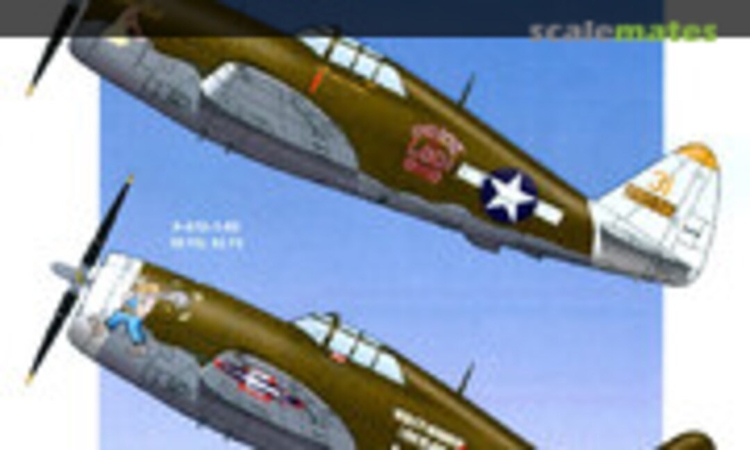 1:48 Beautiful Jugs Part 5 (Pyn-Up Decals PYND48042) PYND48042