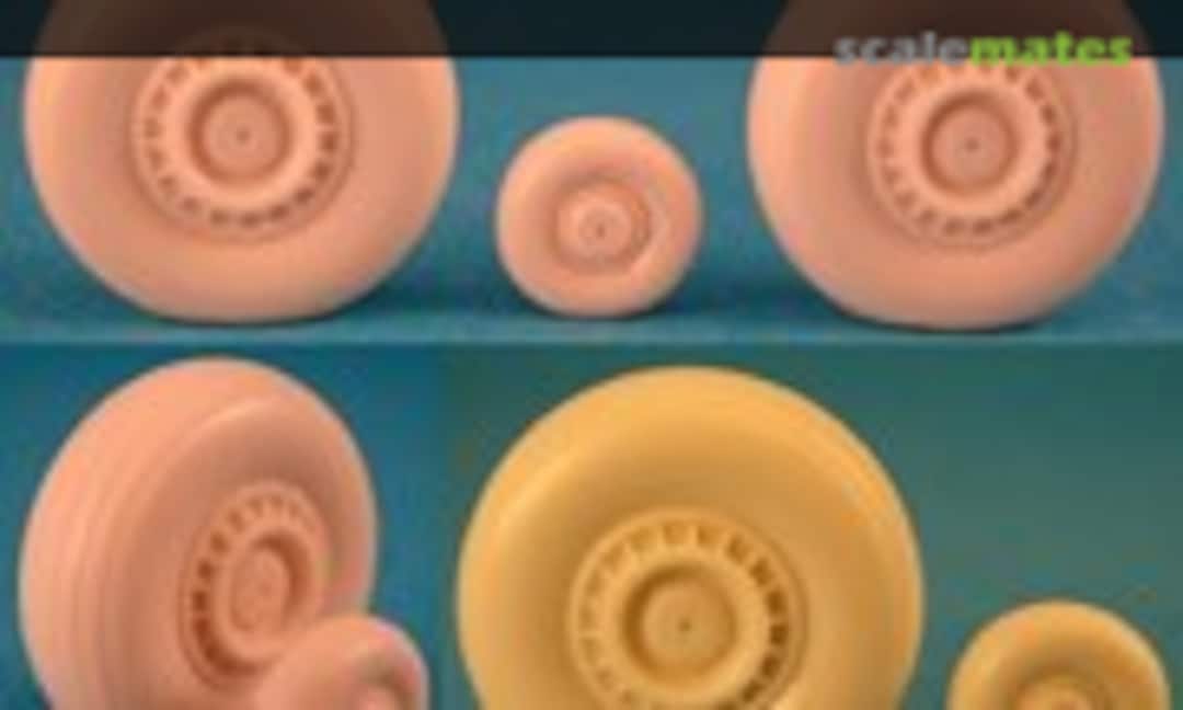 1:48 Douglas DC-3/C-47 Skytrain: Weighted Wheels (Royale Resin R042) R042