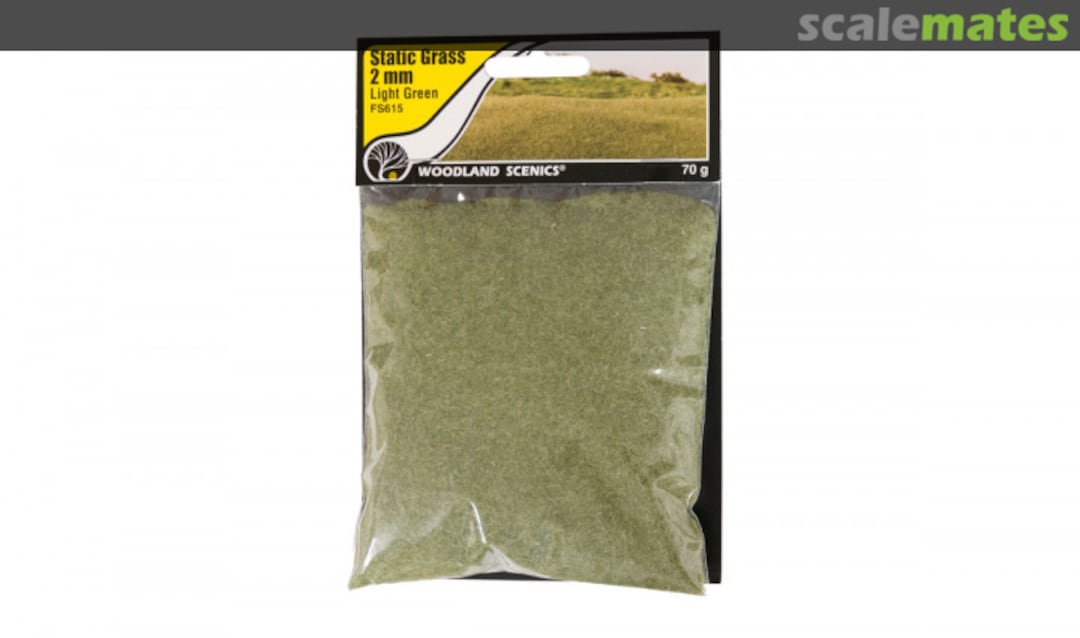 Boxart Static Grass 2 mm Light Green FS615 Woodland Scenics Boxart Static Grass 2 mm Light Green FS615 Woodland Scenics