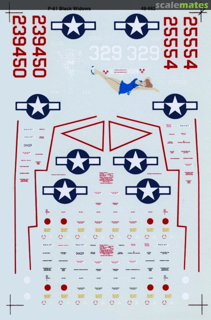 Boxart P-61 A/B Black Widows 48-662 SuperScale International Boxart P-61 A/B Black Widows 48-662 SuperScale International