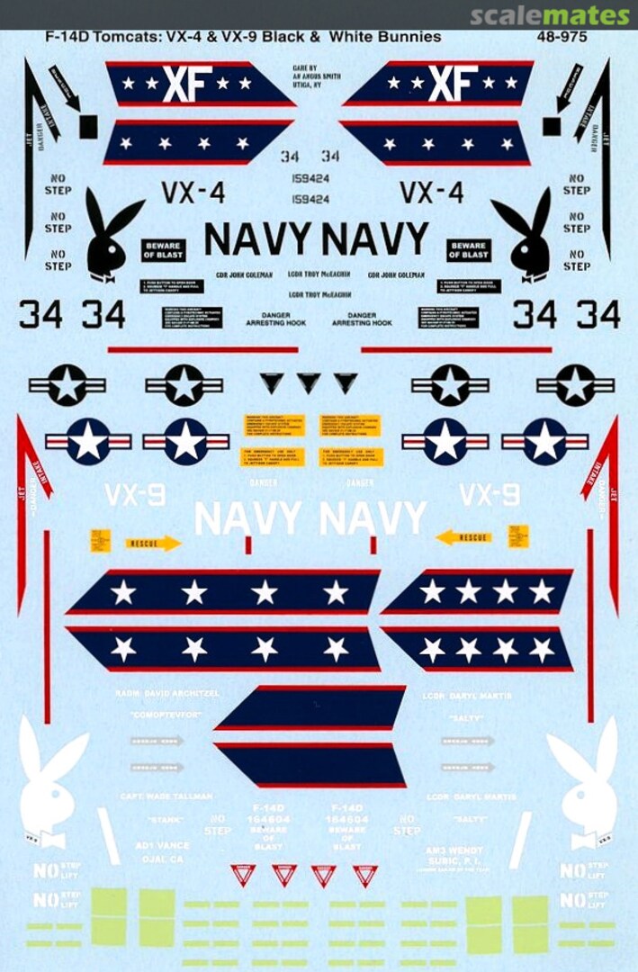 Boxart F-14D Tomcats 48-975 Microscale