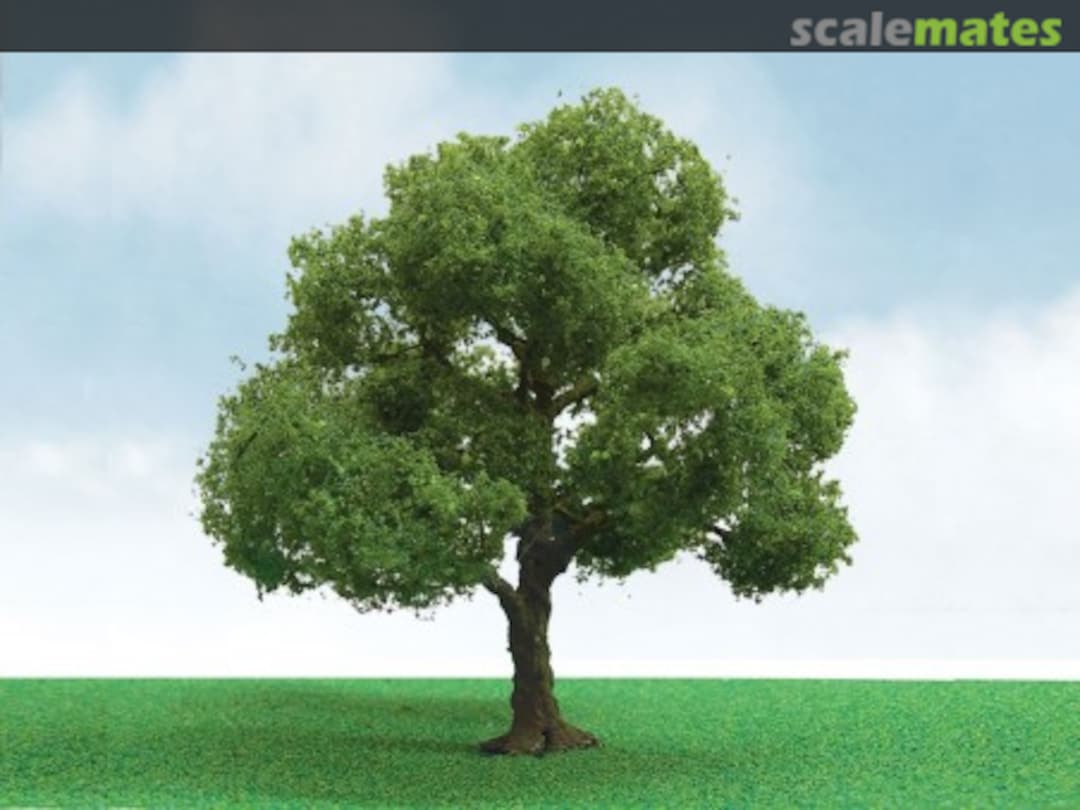 Boxart Elder 92404 JTT Scenery Products Boxart Elder 92404 JTT Scenery Products