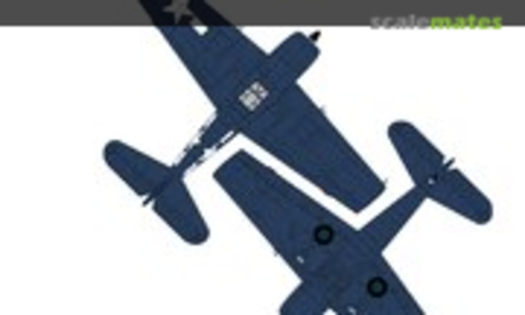 1:24 F6F-5 Hellcat "Minsi" (Aerocraft Models ACM-24008) ACM-24008