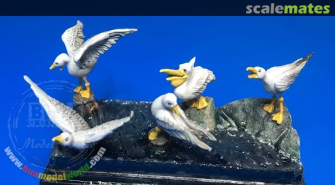 Boxart Seabirds Set #1 UM 456 U-Models Boxart Seabirds Set #1 UM 456 U-Models