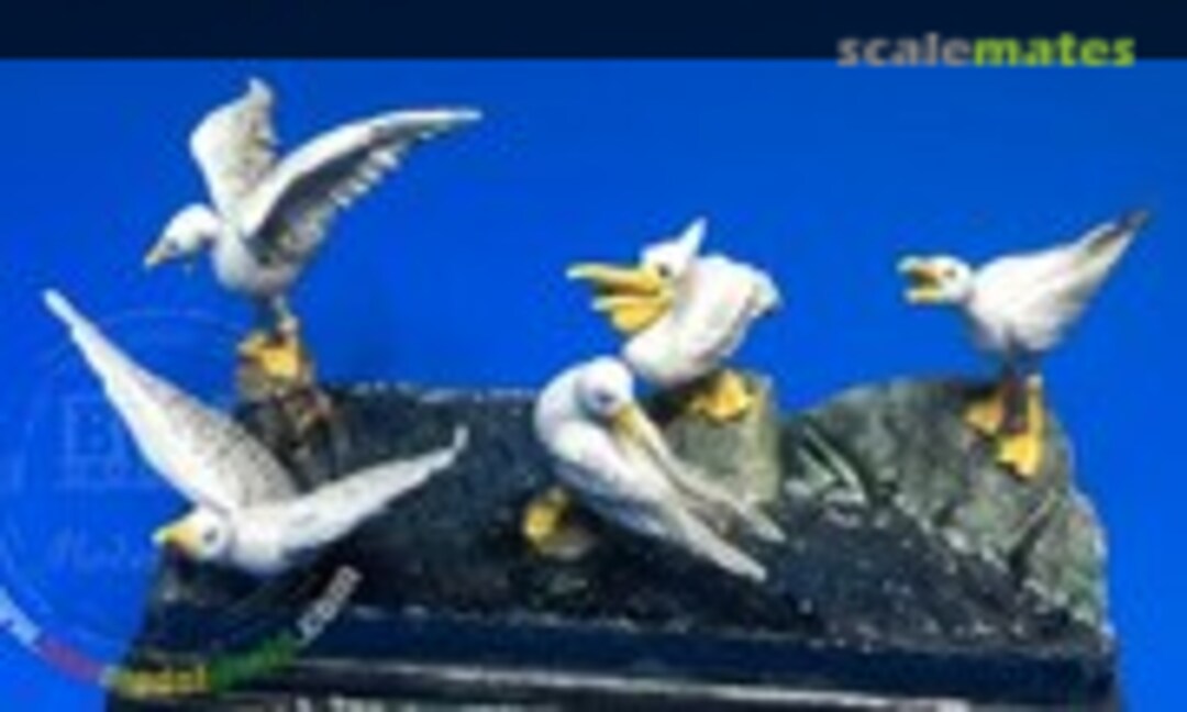 1:35 Seabirds Set #1 (U-Models UM 456) UM 456