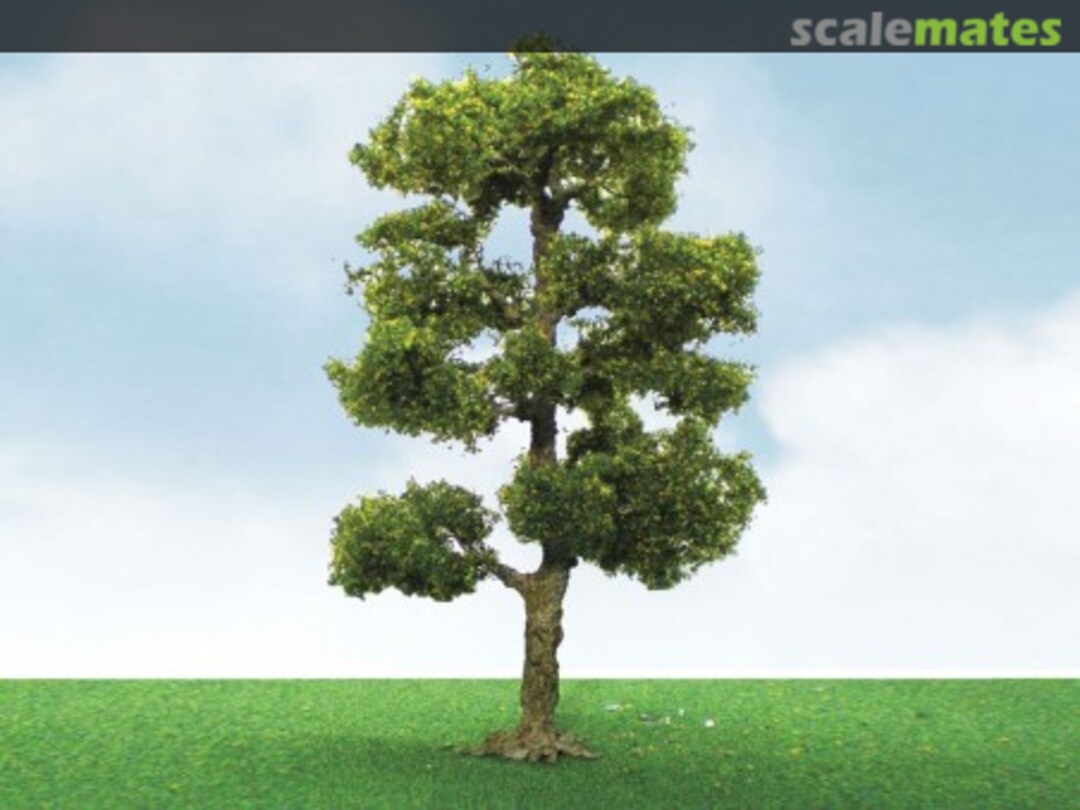 Boxart Downy Birch 92306 JTT Scenery Products