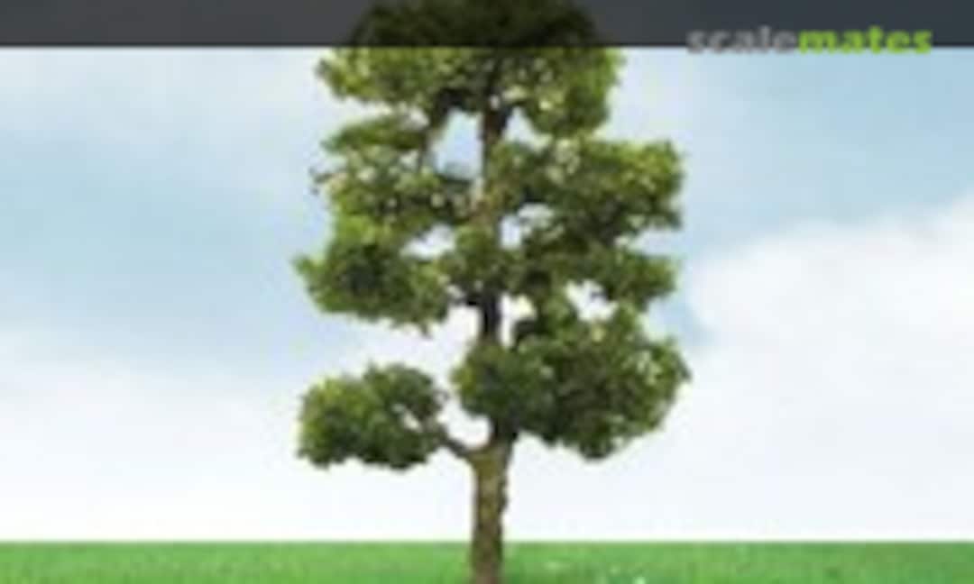 1:87 Downy Birch (JTT Scenery Products 92306) 92306