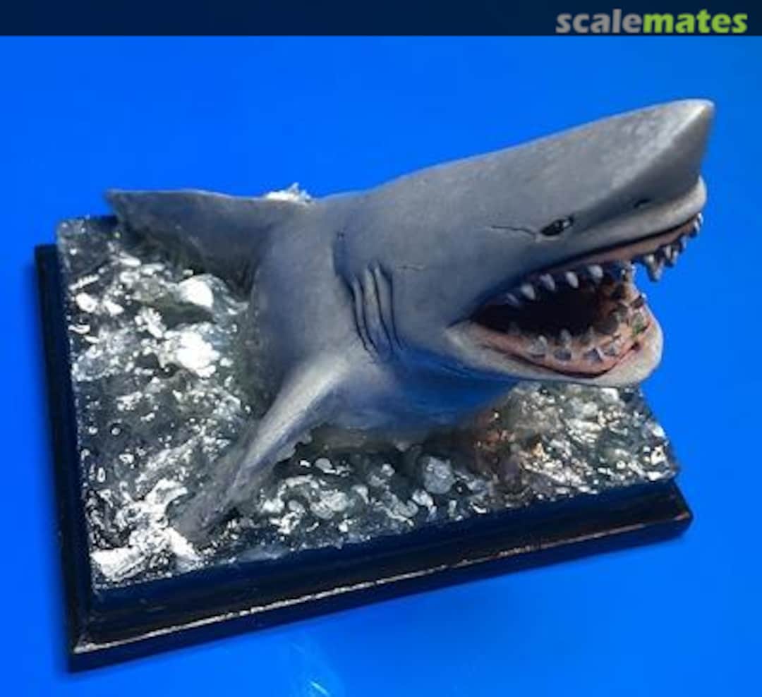 Boxart Shark Attack! UM 460 U-Models Boxart Shark Attack! UM 460 U-Models