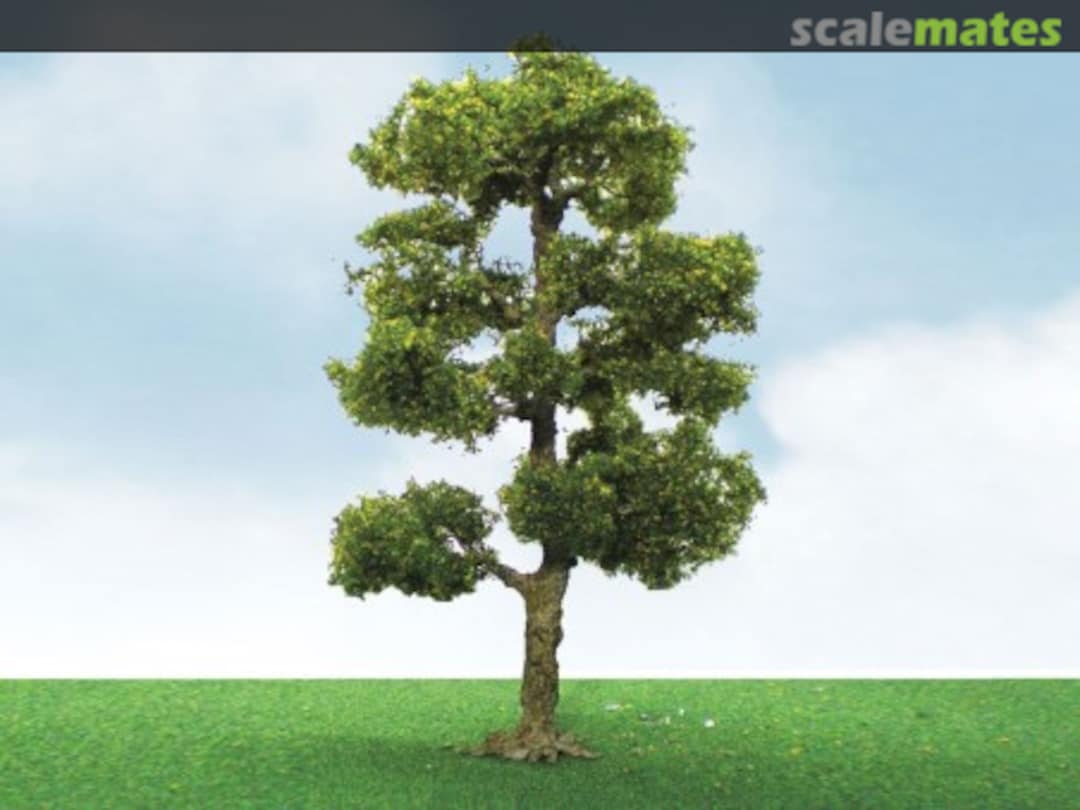 Boxart Downy Birch 92206 JTT Scenery Products Boxart Downy Birch 92206 JTT Scenery Products