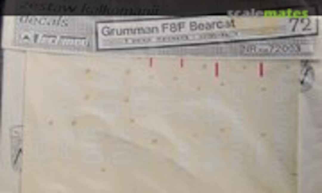 1:72 Grumman F8F Bearcat (Techmod 72003) 72003