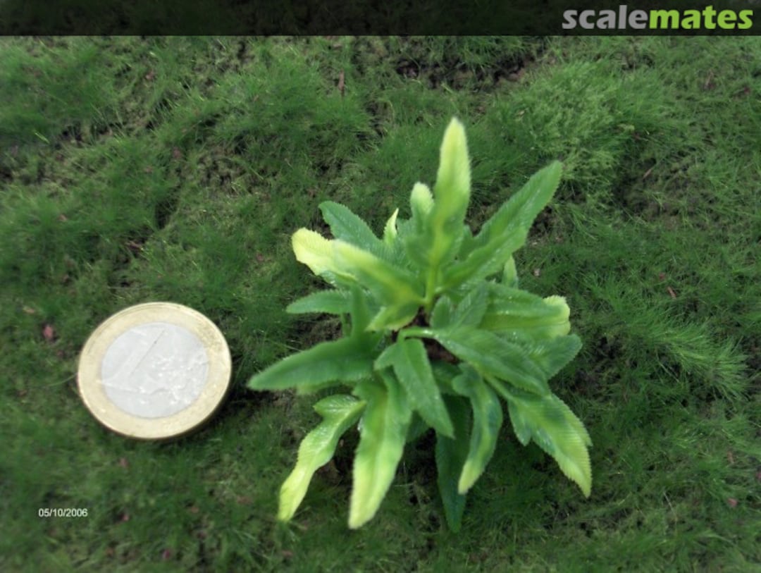 Boxart Nam Bush Set V 206 JoeFix Studio's Boxart Nam Bush Set V 206 JoeFix Studio's