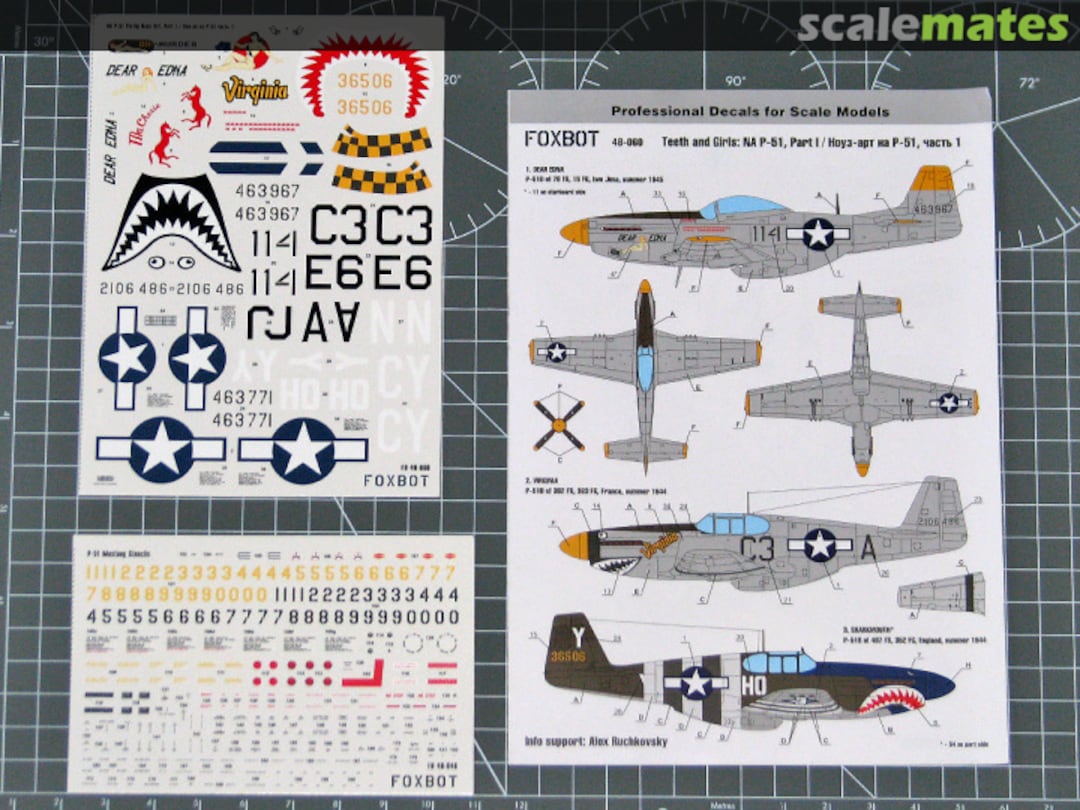 Boxart P-51 Mustang Nose Art, Part I 48-060 Foxbot