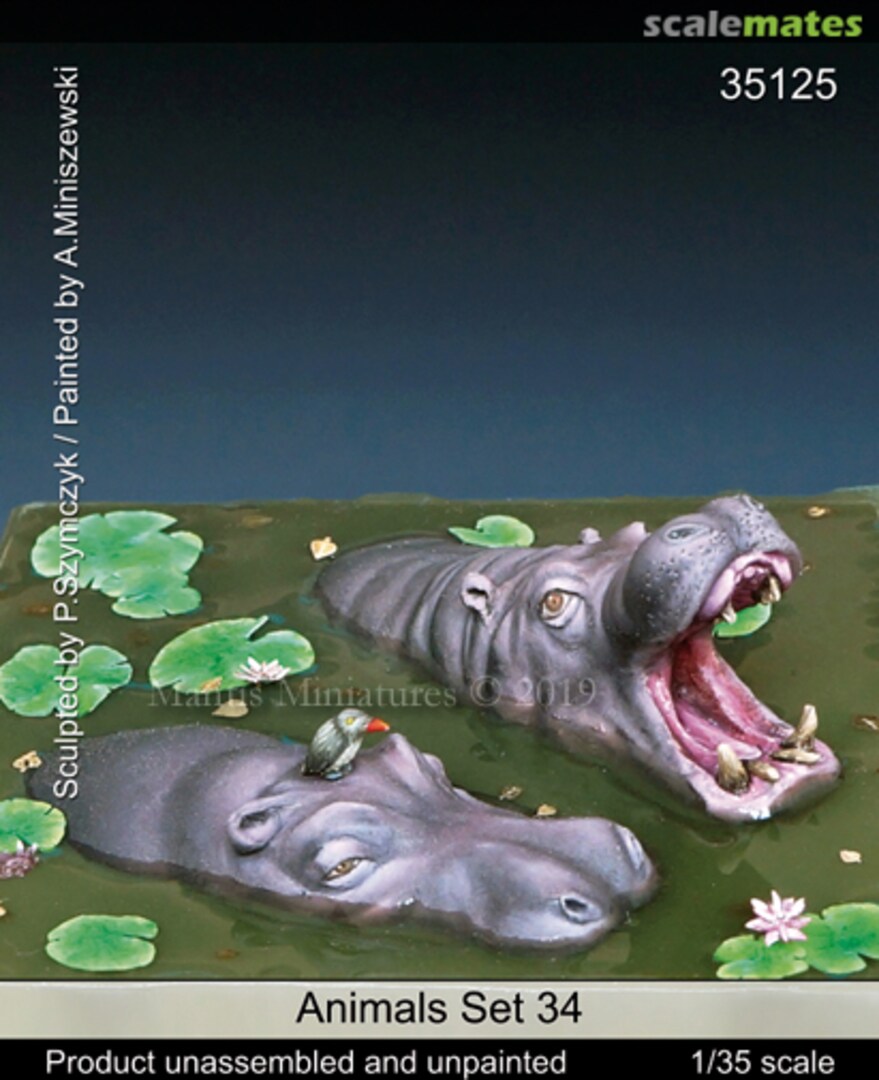 Boxart Nilpferdköpfe - Animals Set - 34 35125 Mantis Miniatures