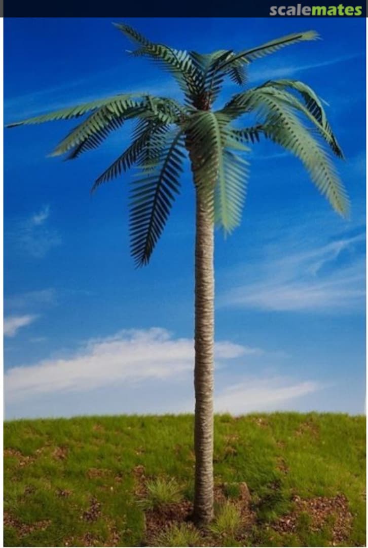 Boxart Common Palm PLM05 Reality in Scale Boxart Common Palm PLM05 Reality in Scale