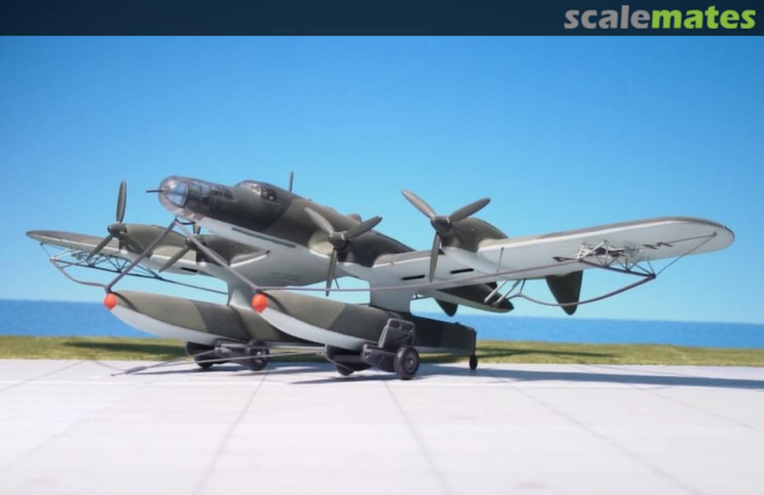 Boxart Blohm & Voss Ha 139 AM-317 Airmodel Boxart Blohm & Voss Ha 139 AM-317 Airmodel