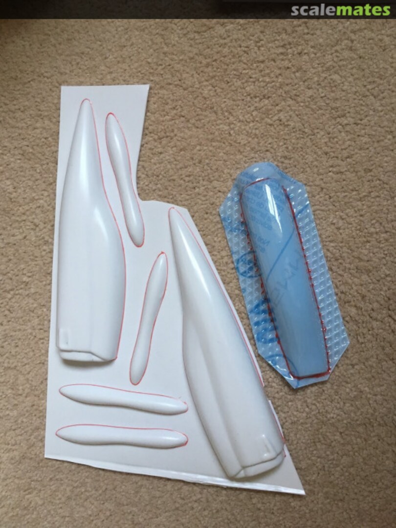 Boxart F-5 two seat conversion 70 Tigger Models