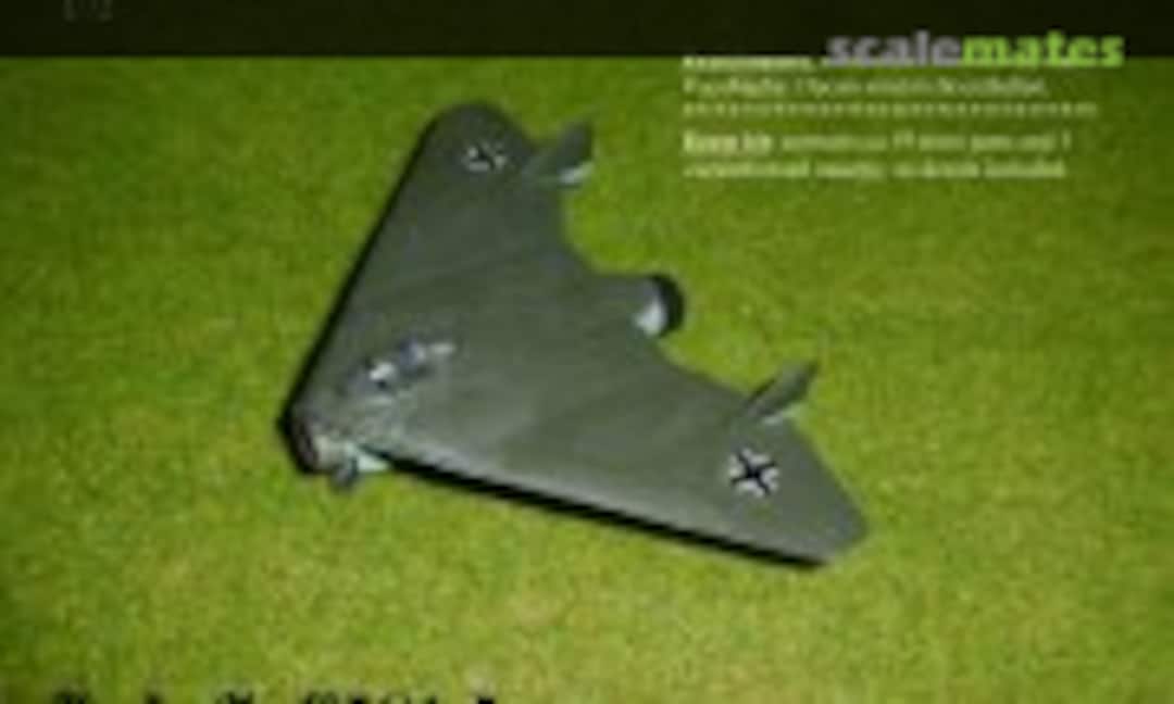 1:72 Arado Ar E.581-5 (Bird Models 72445) 72445