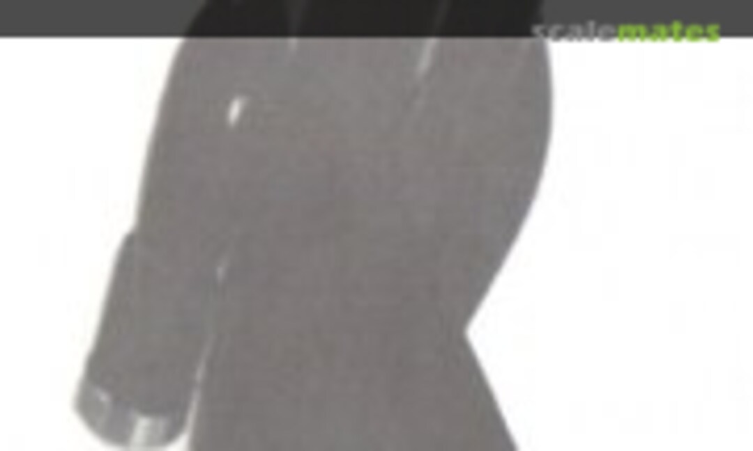 1:72 Messerschmitt Me 328 Ramjet wings (Lonewulf Models LW007) LW007