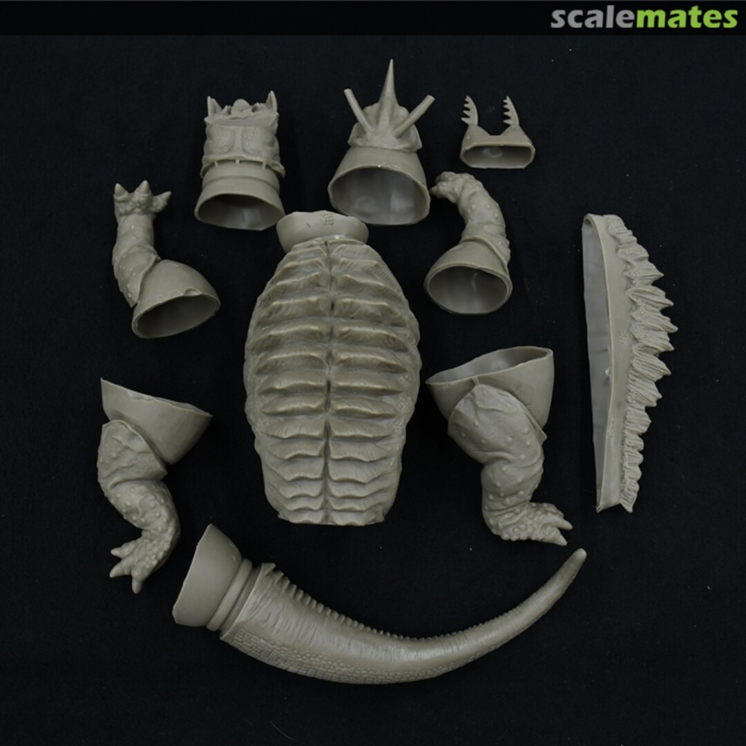 Contents Neronga 002204 Kochi Shimanto Factory Contents Neronga 002204 Kochi Shimanto Factory