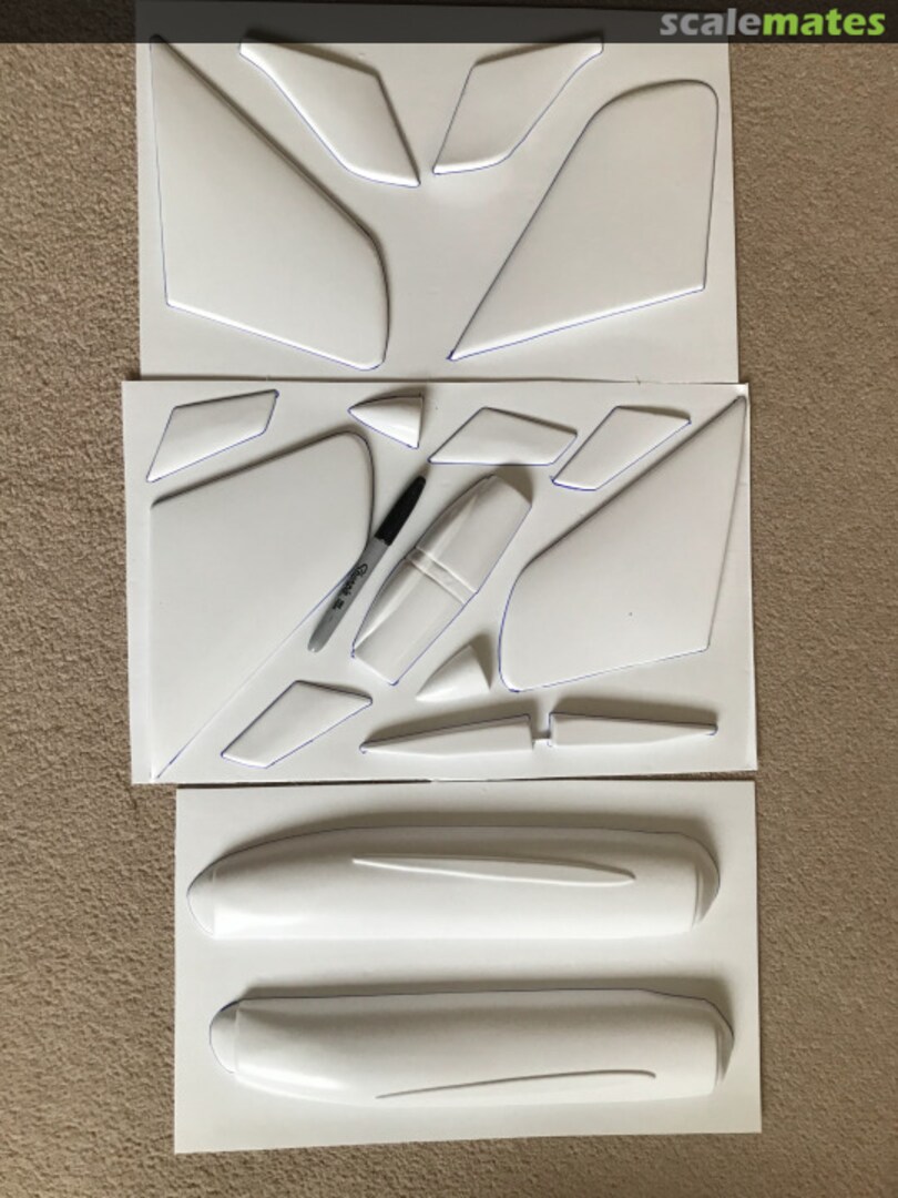 Boxart Douglas Demon f-3h 79 Tigger Models