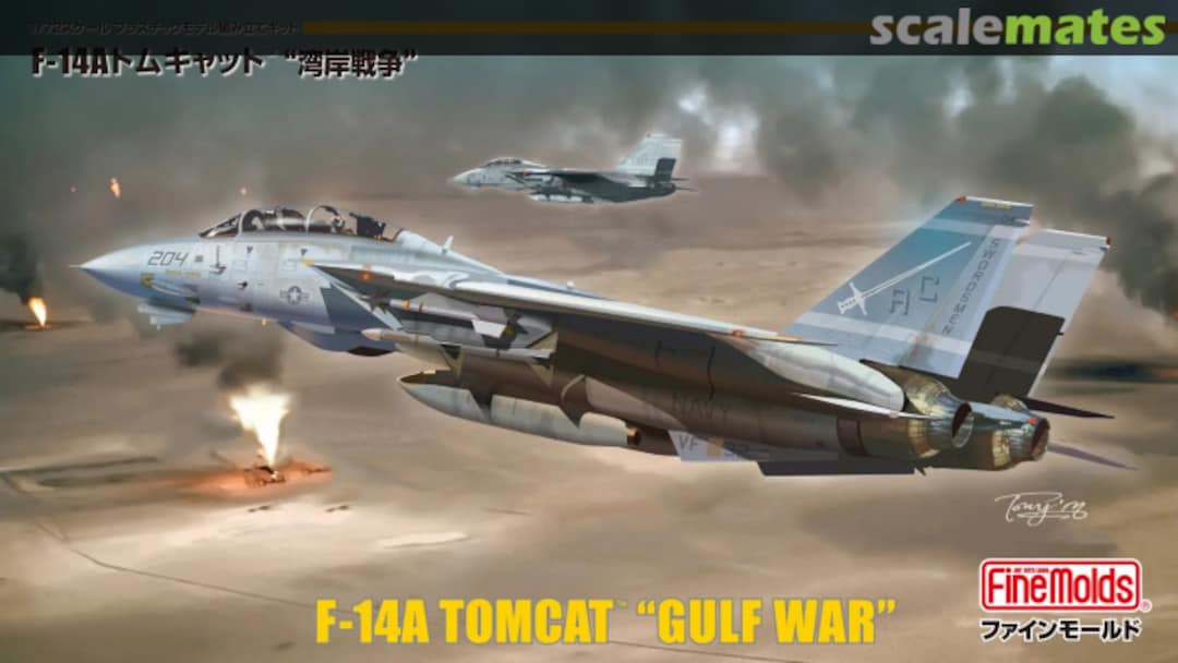 Boxart F-14A Tomcat FP53 Fine Molds Boxart F-14A Tomcat FP53 Fine Molds