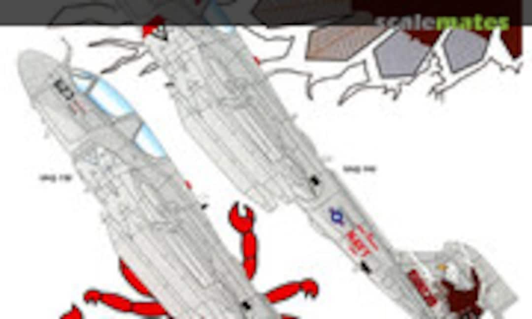 1:48 EA-6B Prowlers (Cutting Edge Modelworks CED48207) CED48207