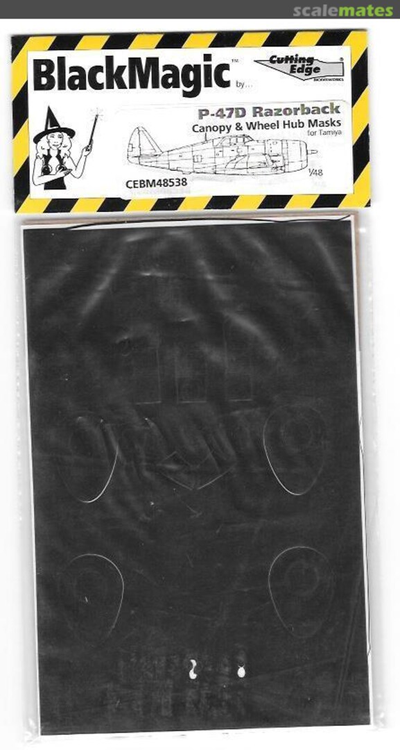 Boxart P-47D Razorback Canopy & Wheel CEBM48538 Cutting Edge Modelworks Boxart P-47D Razorback Canopy & Wheel CEBM48538 Cutting Edge Modelworks