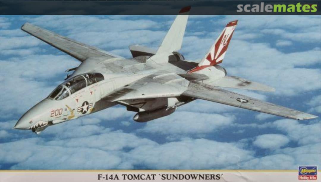 Boxart F-14A Tomcat `Sundowners´ 00366 Hasegawa Boxart F-14A Tomcat `Sundowners´ 00366 Hasegawa