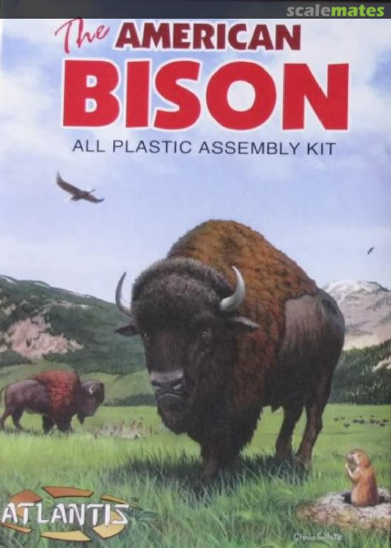 Boxart The American Bison 2002 Atlantis Boxart The American Bison 2002 Atlantis