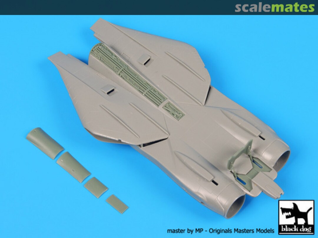 Boxart F-14 A spine - Academy - A72071 Black Dog Boxart F-14 A spine - Academy - A72071 Black Dog