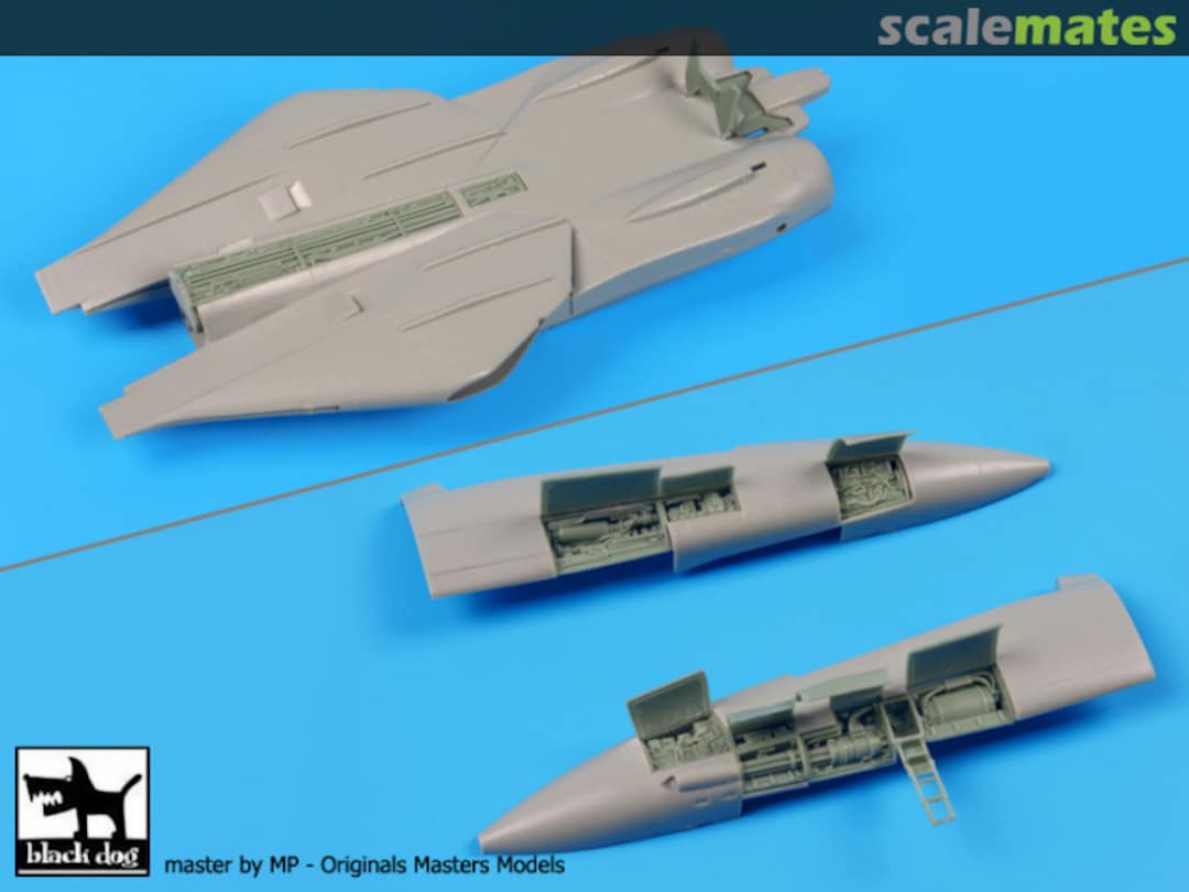 Boxart F-14 A Big Set - Academy - A72072 Black Dog Boxart F-14 A Big Set - Academy - A72072 Black Dog