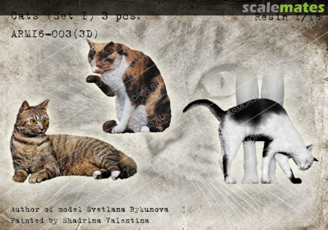 Boxart Cats (Set I) 3 pcs. ARM16-003(3D) Armor35 Boxart Cats (Set I) 3 pcs. ARM16-003(3D) Armor35