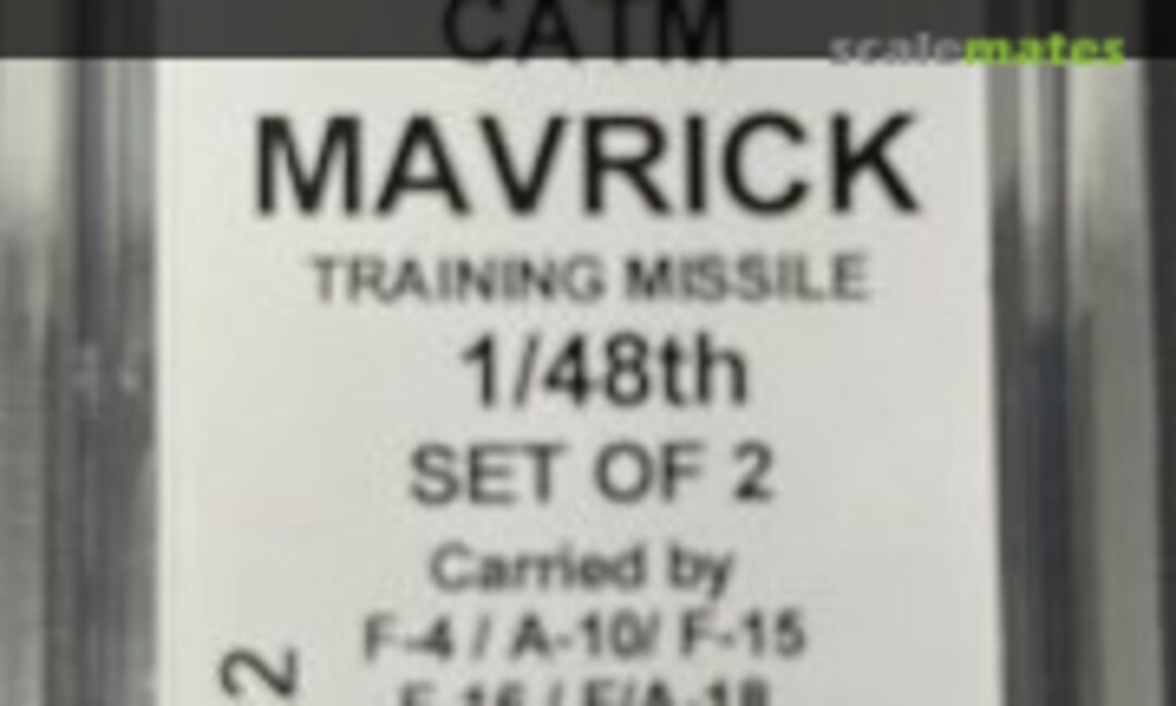 1:48 AGM-65 CATM Maverick training missile (2) (Flight Line Resin FLR1202) FLR1202