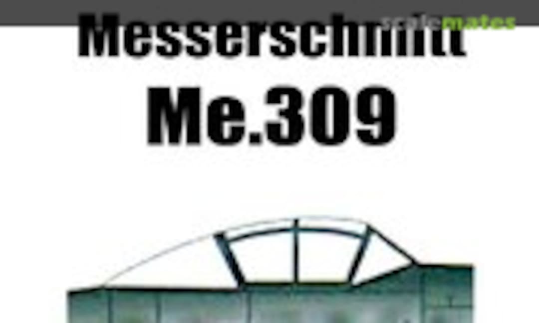 1:48 Messerschmitt Me 309 (Tasman Model Products TA 290) TA 290