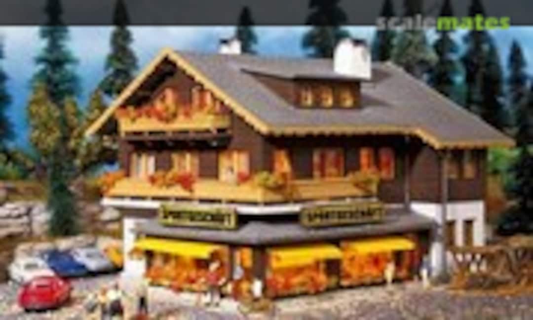 Sports shop (Vollmer 47763)