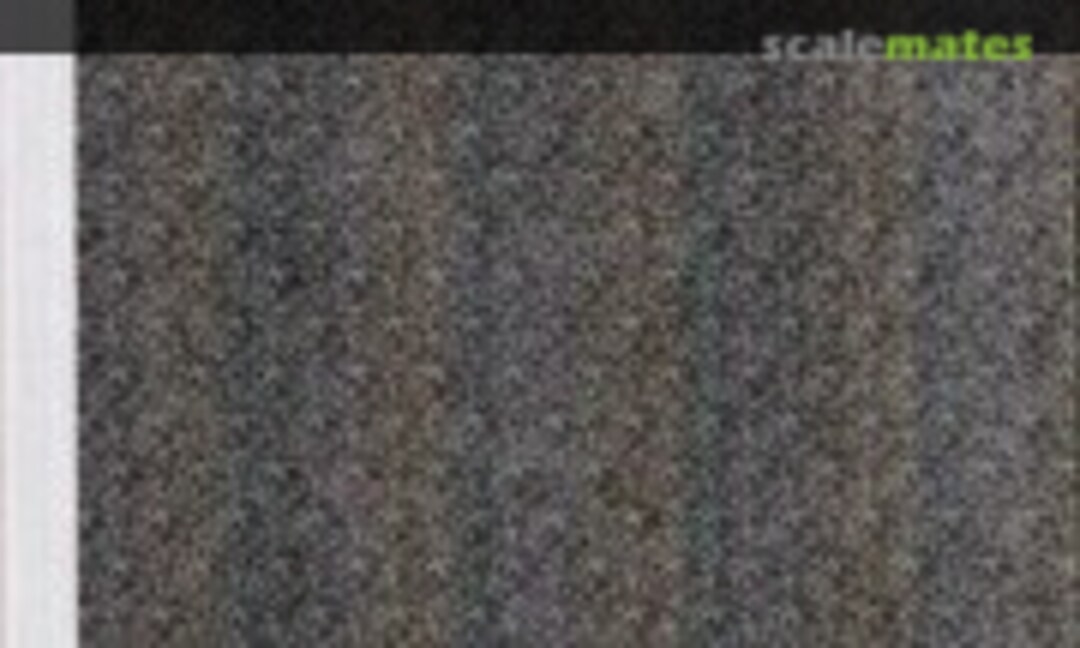 1:35 U.S. Army WWII Frog Skin Type C (Meister Chronicle MCD-016) MCD-016