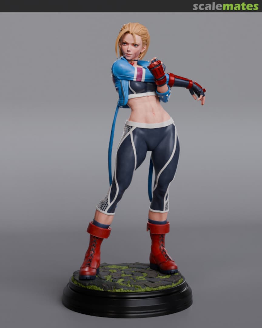 Boxart Cammy Abe3D Boxart Cammy Abe3D