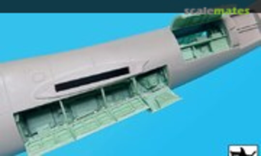 1:48 Grumman OV-1 Mohawk electronics big set (Black Dog A48027) A48027