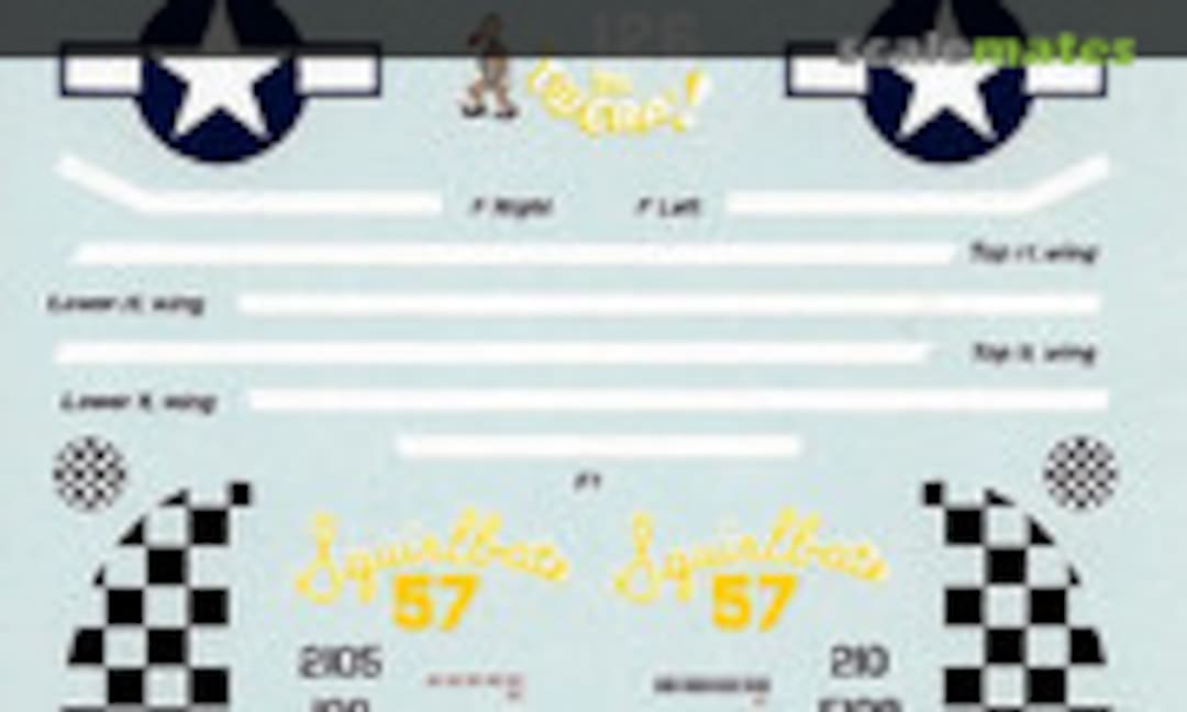 1:48 Curtiss P-40N/M Warhawks (SuperScale International 48-898) 48-898