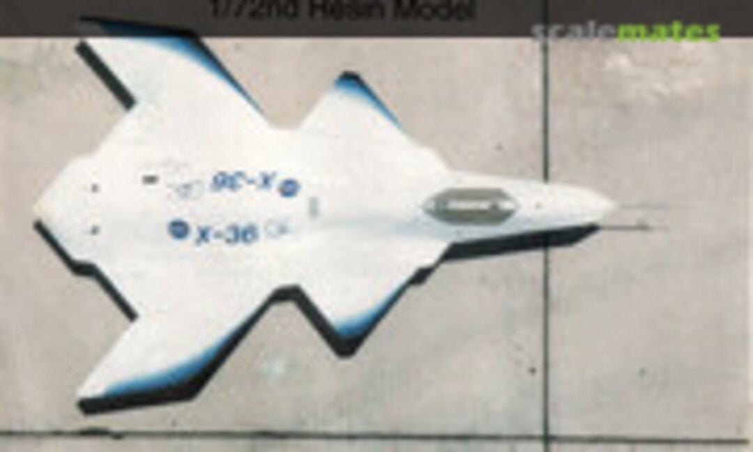 1:72 X-36 (Muroc Models ?) ?