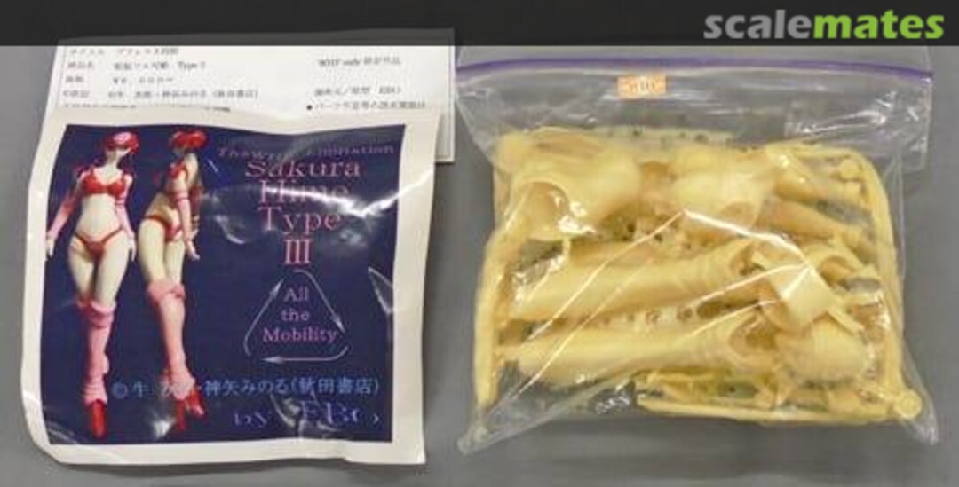 Boxart Sakura Hime Type III EBO Boxart Sakura Hime Type III EBO