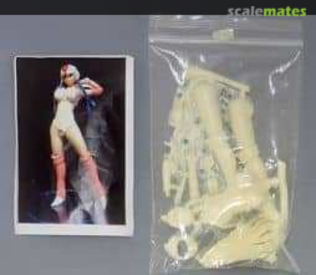 Boxart Sakura Hime Fixed Pose Ver. EBO Boxart Sakura Hime Fixed Pose Ver. EBO