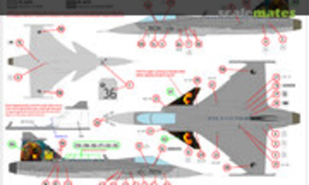 1:48 Fiery Tiger (JBr Decals 48008)