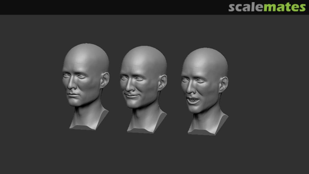 Boxart Heads C/1 F026a-16 Firma49 Boxart Heads C/1 F026a-16 Firma49