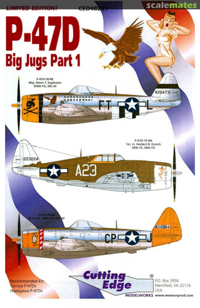 Boxart P-47D CED48231 Cutting Edge Modelworks Boxart P-47D CED48231 Cutting Edge Modelworks