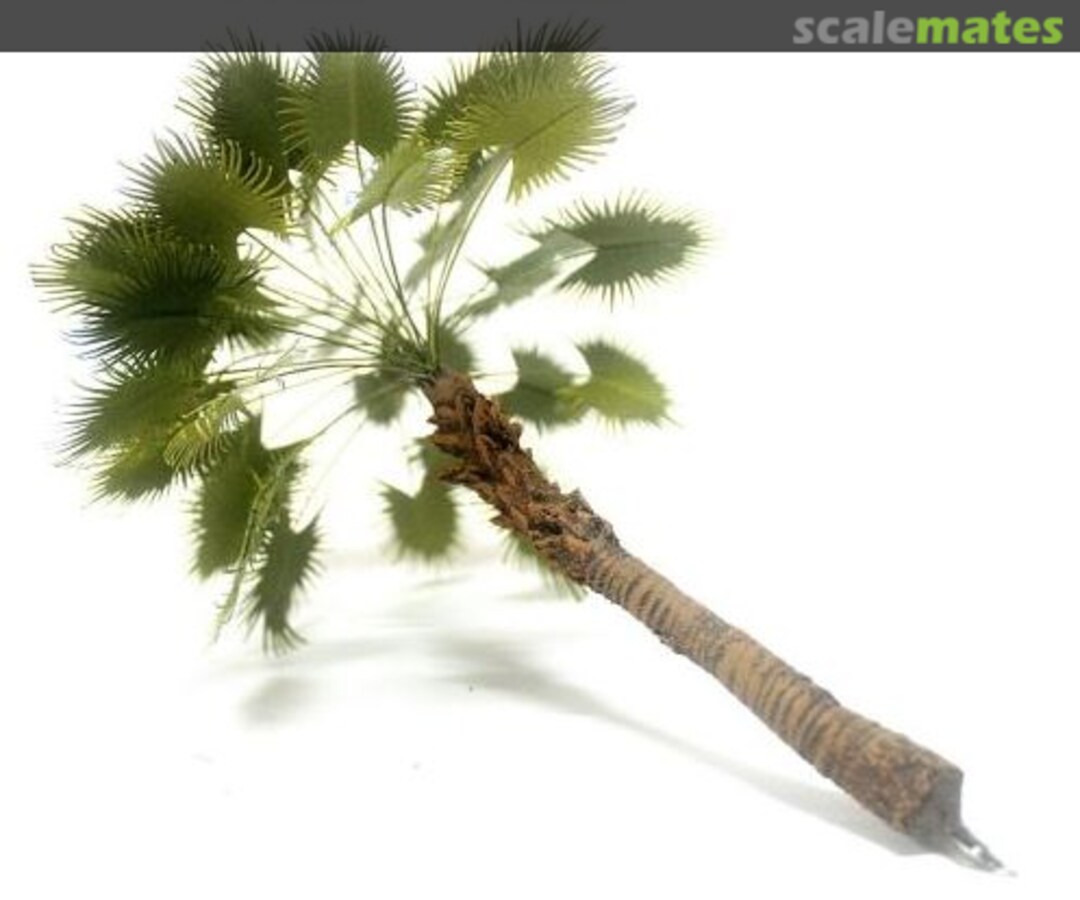 Boxart Palme de jungle tropicale - hauteur arbre 20cm TPV-066 Diorama Presepe Boxart Palme de jungle tropicale - hauteur arbre 20cm TPV-066 Diorama Presepe