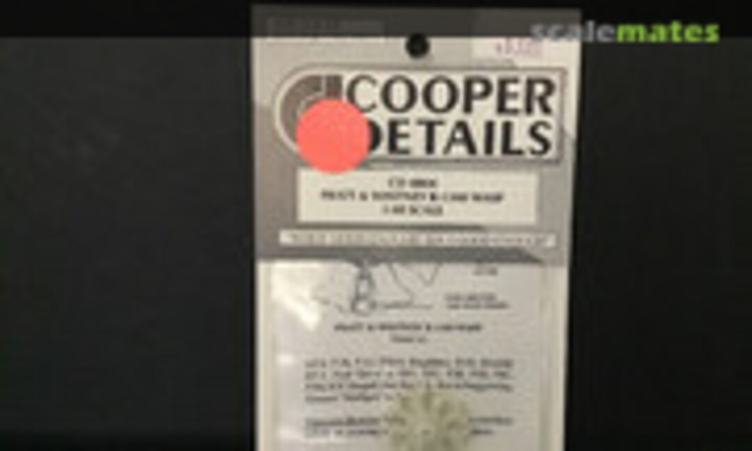 1:48 Pratt & Whitney R-1340 Wasp (Cooper Details CD 4804) CD 4804