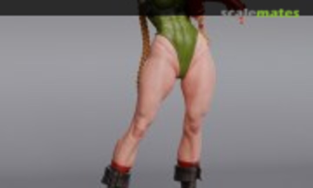 1:4 Cammy (Abe3D )