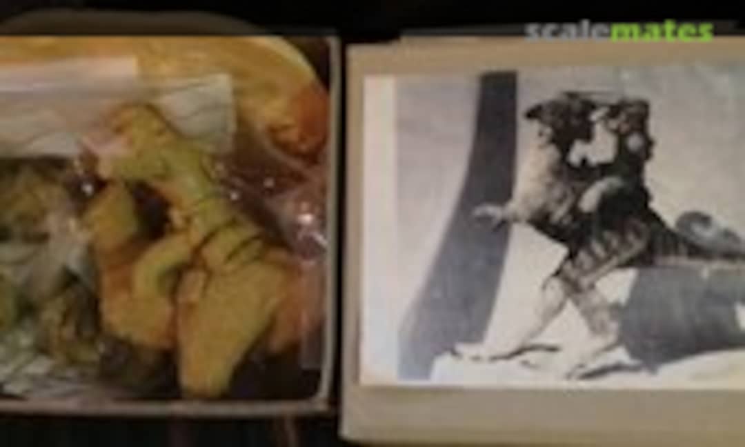 1:10 Luke on Taun Taun (Garage Kit )